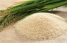 Basmati Rice Basmati Rice