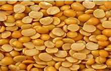 Tuar Dal Tuar Dal