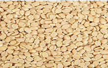 Urad Dal Urad Dal