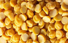 Chana Dal Chana Dal