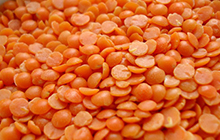 Masur Dal Masur Dal