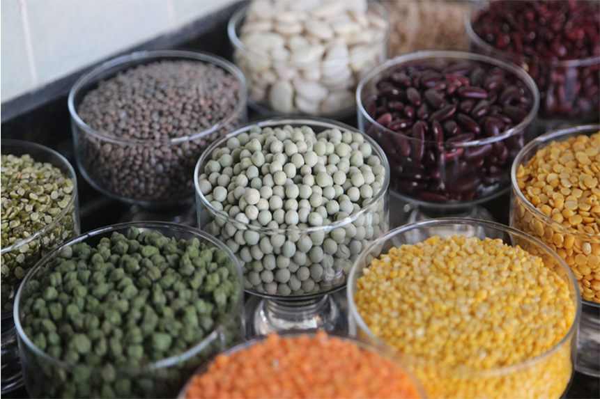 Sesame Seeds